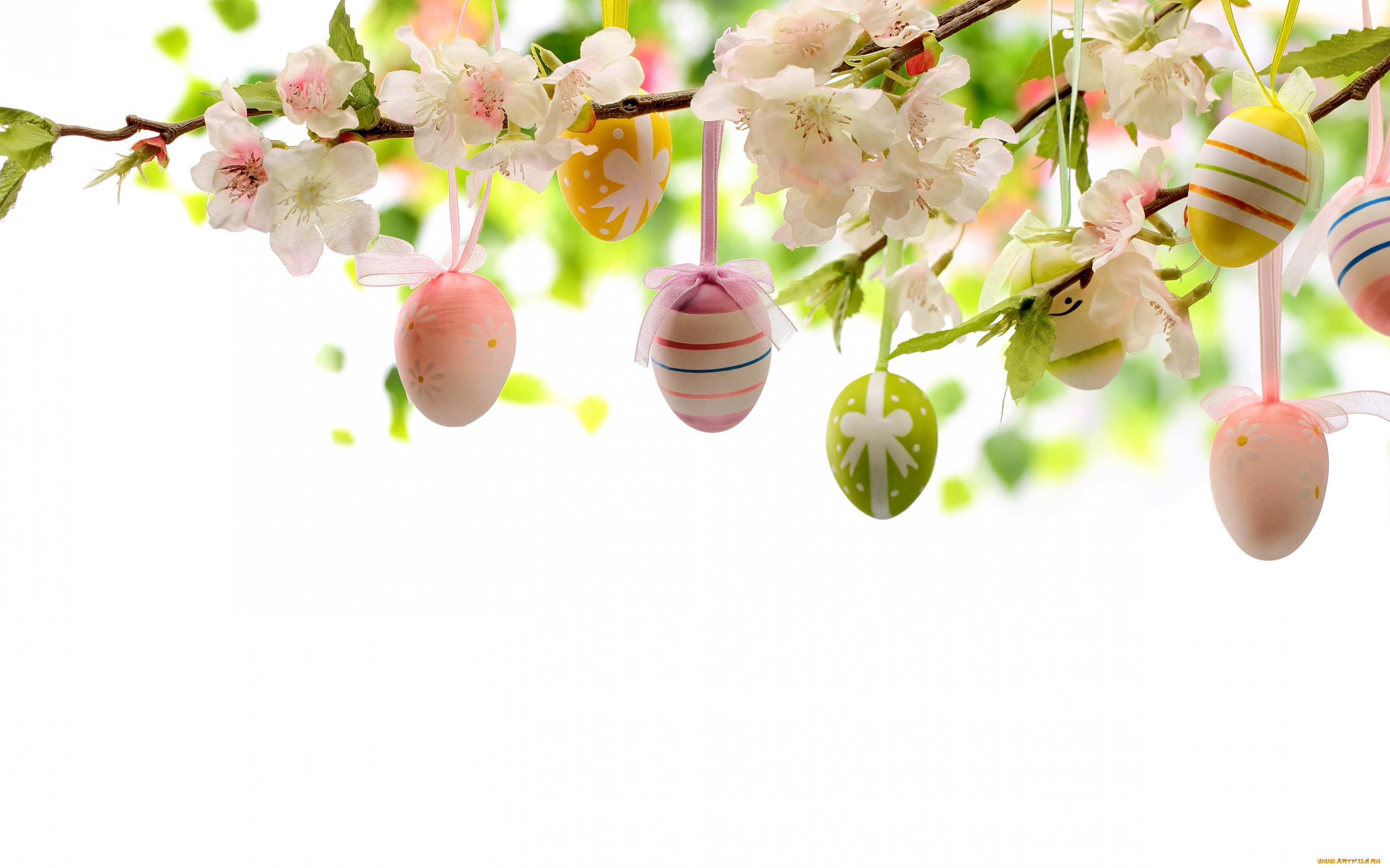 , , , , eggs, flowers, , easter